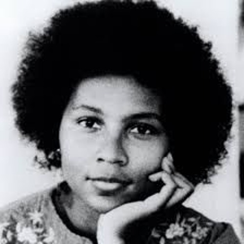 bell hooks On Interlocking Systems Of Domination