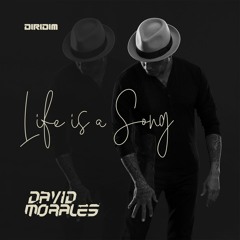 LIFE IS A SONG (Extended Mixes)