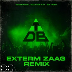 CHARGER - EXTERM ZAAG REMIX