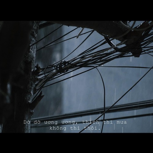 Ngẫu hứng chiều mưa