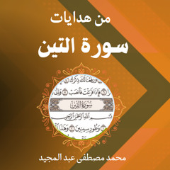 من هدايات سورة التين | محمد مصطفى عبد المجيد