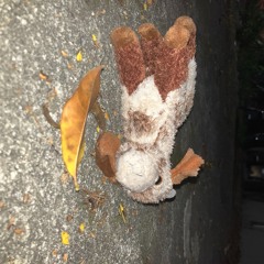 deslizou no parque- badí ansem. BÔNUS TRACK "GORBLA: medalha de bronze também tá no pódio".