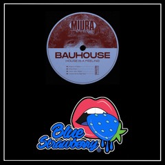 Bauhouse - Whole Lotta Groove