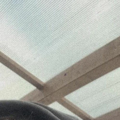 co