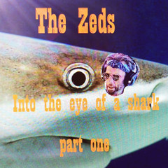 Into the eye of a shark (Part One)