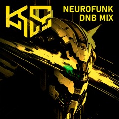 Selection #7 Neurofunk DNB Mix