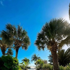 TK - La mentale // by DriveBy