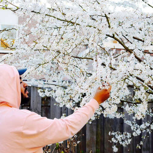 Stream Alex Isley Still Wonder (Covered by GUILLAUME.) by GUILLAUME. Listen online for free