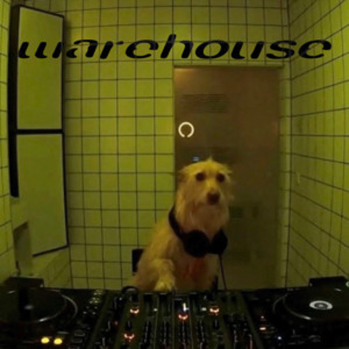 Stream Bxnny | Listen to Warehouse Rave playlist online for free on ...