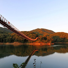 Review Special Price Best DMZ Tour Korea from Seoul (Red Suspension Bridge Optional)