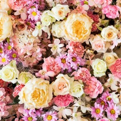lilac fields
