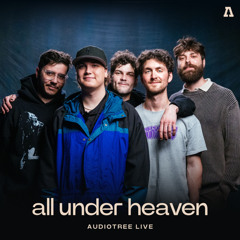 Alley Cat (Audiotree Live)