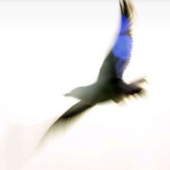 Good Lies (Above Ground Mix)