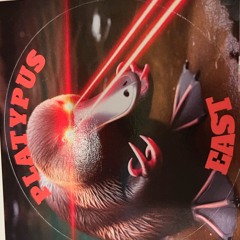 Platypus East Improvisation 8-17-2024