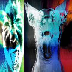 𝓪𝕞ａᒪقᵃ𝕞Ã