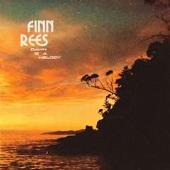 Album of the Week: Finn Rees - Dawn Is A Melody