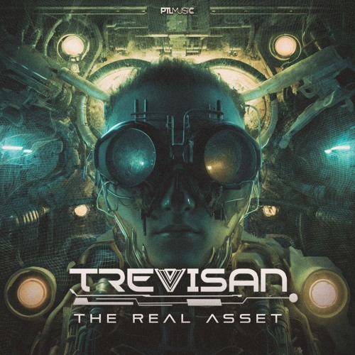 Trevisan - The Real Asset