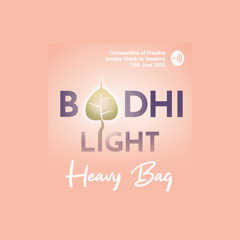 Bodhi Light Tales - Heavy Bag