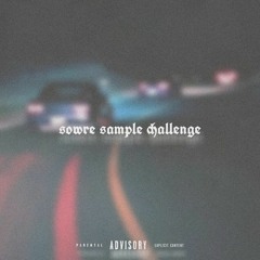 sowre sample challenge.