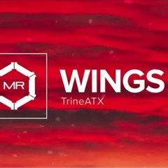 TrineATX - Wings