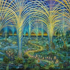 Holotropic Visions