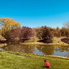 Memories of Our Youth