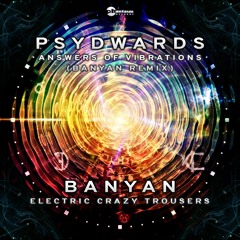 Psydwards - Answers Of Vibrations (Banyan Remix)