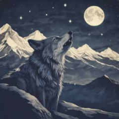 Tʀaxtoʀ bozgurdumuz