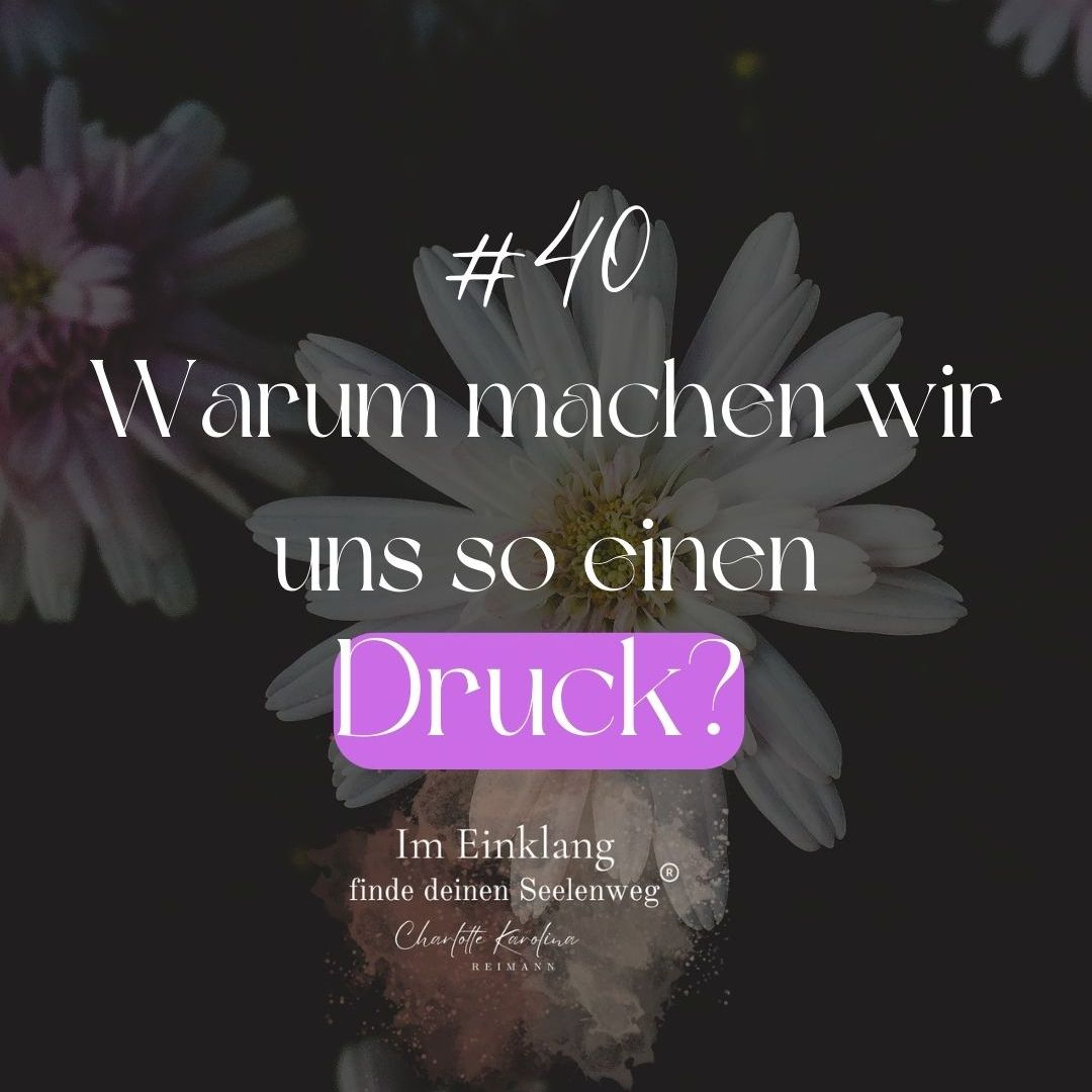 Im Einklang - finde Deinen Seelenweg