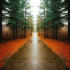 Road to Zion