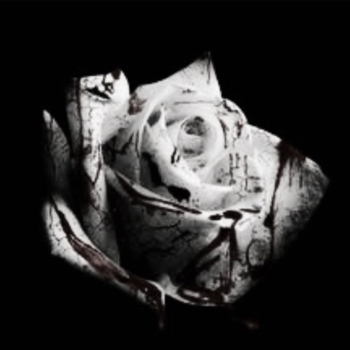 A photo of the album cover of “Romantic Homicide” by d4vd