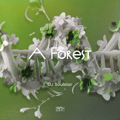 PREMIERE | DJ Soulstar - A Forest [EarthVox]