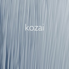 Kozai Mechanism