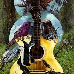 THE CUCKOO BIRD - Coo-Coo Bird (country blues, fingerstyle guitar, Clarence Ashley cover in Drop D)