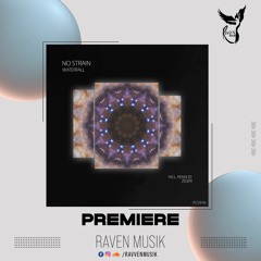 PREMIERE: No StraiN - Waterfall (Extended Mix) [Polyptych Noir]