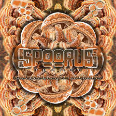 Spoorus Trance Caleidoscópio Sagrado (Special Progressive Psytrance Set Edit)