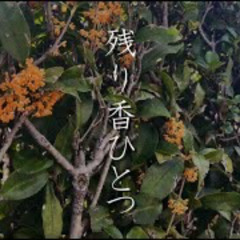 残り香ひとつ