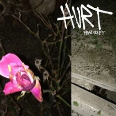 joeyy - hurt (feat. foley)