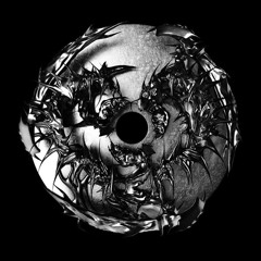 WHEEL (FREE DOWNLOAD)