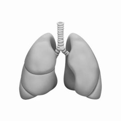 winternb freestyle(prod.thirtysins)