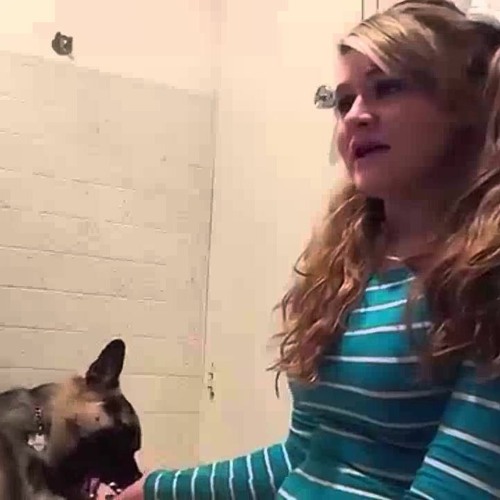 Dog girl fuck by Young girl