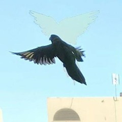 AIR 111 ANGEL MIX FT GEN (SCAM EDIT)