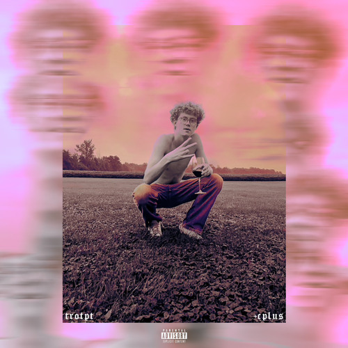 The Return of the Psychedelic Traveller Vol. 1