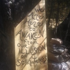 Coming Home to Our Self