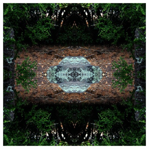 Espinal (Versión Corta)