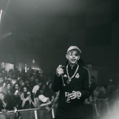 MC's MAGRINHO, NEGUINHO DO ITR - NO PELO - DJ's LEOLG, FAISCA, JS DA BL