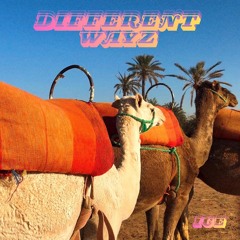 ICE - Different WayZ master .mp3