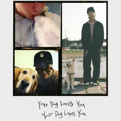 your dog loves you - WOODZ/SEUNGYOUN/LUIZY Cover