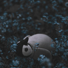 Fairy Tale