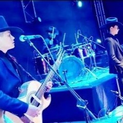 Huapango La Pantera Rosa - LOS TAPIA